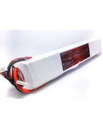 5300mAh 12S 50C/100C