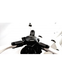 600 Rotokopf 3-Blätter Bundle