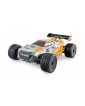 1:18 Entelodon Truggy RTR