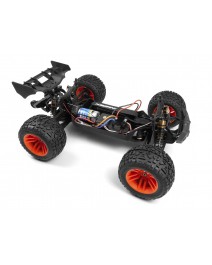 1:10 Quantum2 XT RTR