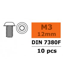 Vis tête bombée F six pans M3X6 10x