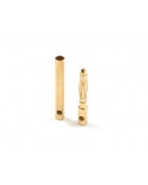 2.0mm Goldstecker S+B 4x2