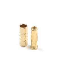 4.0mm Goldstecker Car S+B 4x2