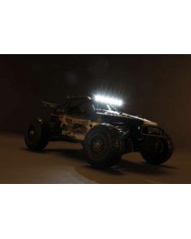 1:18 Roost Desert Buggy RTR