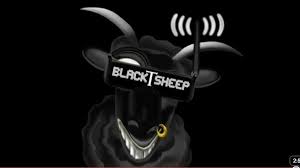 Team Blacksheep